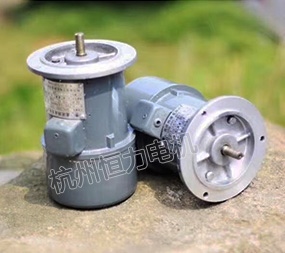 ZYS永磁直流測速發電機