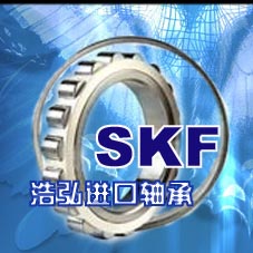 杭州進(jìn)口軸承型號大全浩弘軸承經(jīng)銷部SKF-NSK進(jìn)口軸承批發(fā)庫存