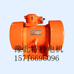 供應防爆振動電機