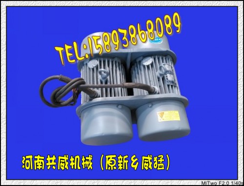 現貨WHZY、WLZD雙胞胎振動電機