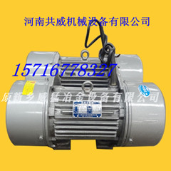 河南共威廠家生產(chǎn)銷售WHZY-2*50-6/WLZD-2*5-4/WLZD-2*-8-4直線自振源/