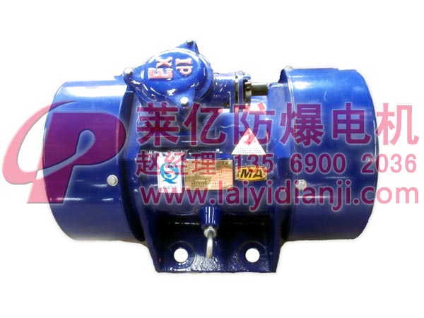 YBZU隔爆型振動源三相異步電動機
