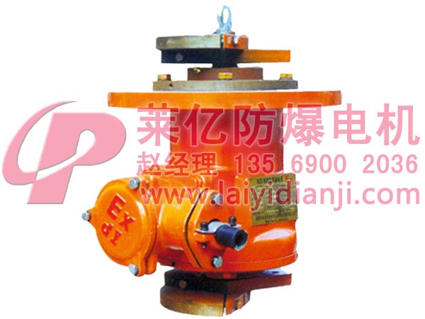 BZDL立式防爆振動(dòng)電機(jī)