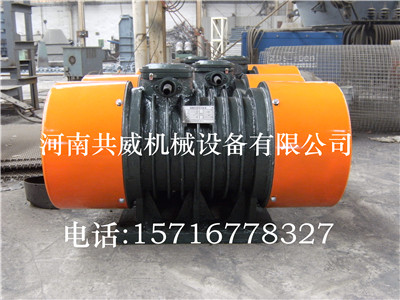  共威制造專利產品直線自振源-WLZD-2×12-6雙胞胎振動電機-WLZD-2*12-6直線			 