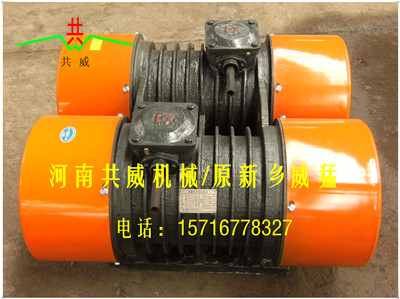 共威（威猛）WHZY/WLZD-2*50-6振動電機（YZO-50-6）			 