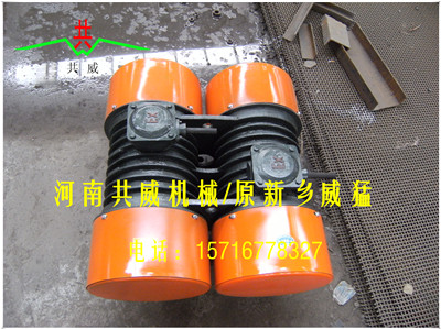 			 東方 共威（威猛）WHZY/WLZD-2*30-6振動電機（YZO-30-6）			 