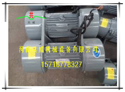  海口 正宗威猛WLZD-2*5-4直線自振源電機			 