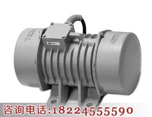 振動(dòng)電機(jī)