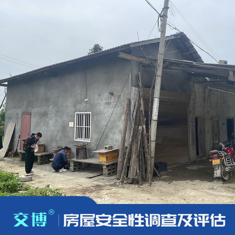房屋安全性調查評估,建筑構件調查測量分析