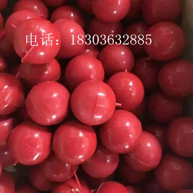 mmexport1484373683838_副本.jpg