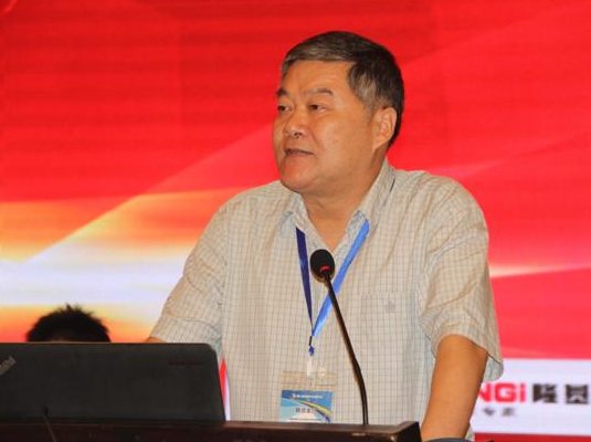 中國冶金礦山企業協會項宏海常務副會長致辭