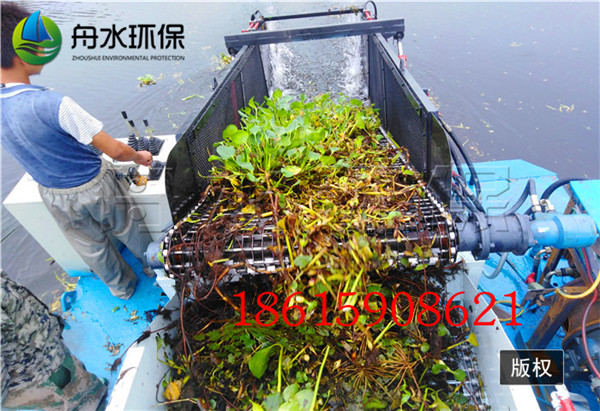 33湖北武漢水葫蘆打撈船 (2).jpg