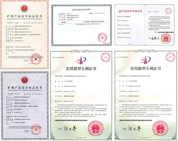 活化給煤機,活化振動給煤機,雙質體活化給煤機 活化給煤機,活化振動給煤機,雙質體活化給煤機