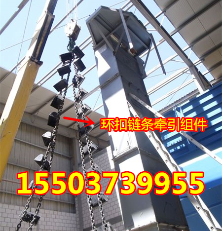 TH型環鏈提升機