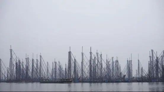 整治前駱馬湖區采砂大泵船只集中停靠的情景