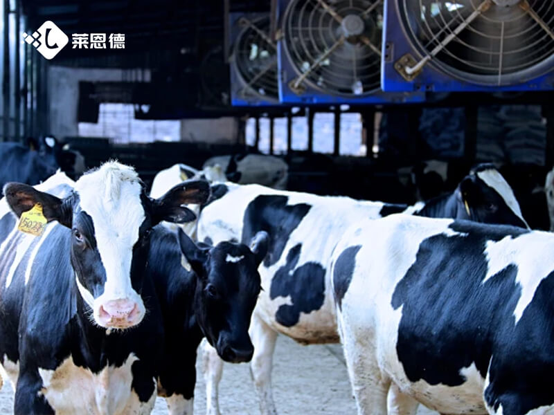 肉类水分检测仪怎么选 采购哪家好